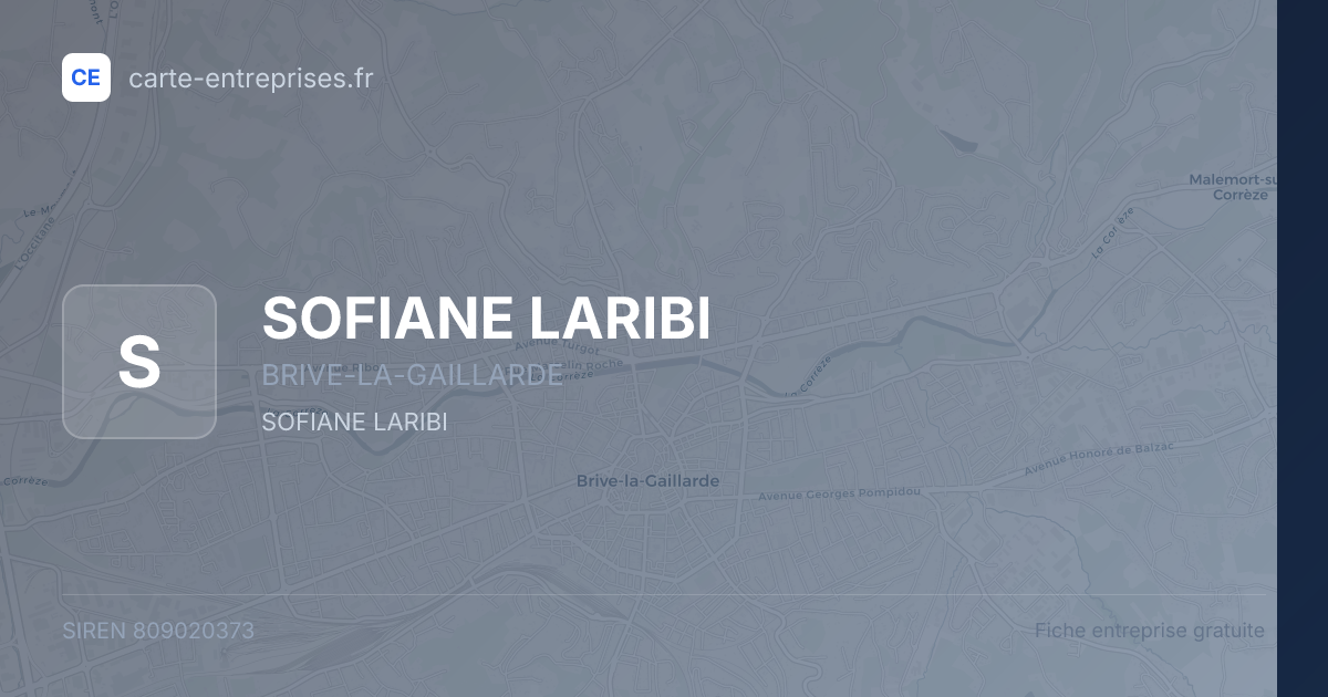 SOFIANE LARIBI — 809020373 — fiche entreprise