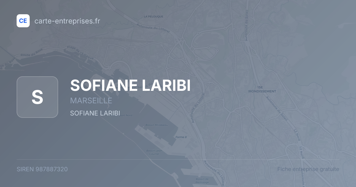 SOFIANE LARIBI — 987887320 — fiche entreprise