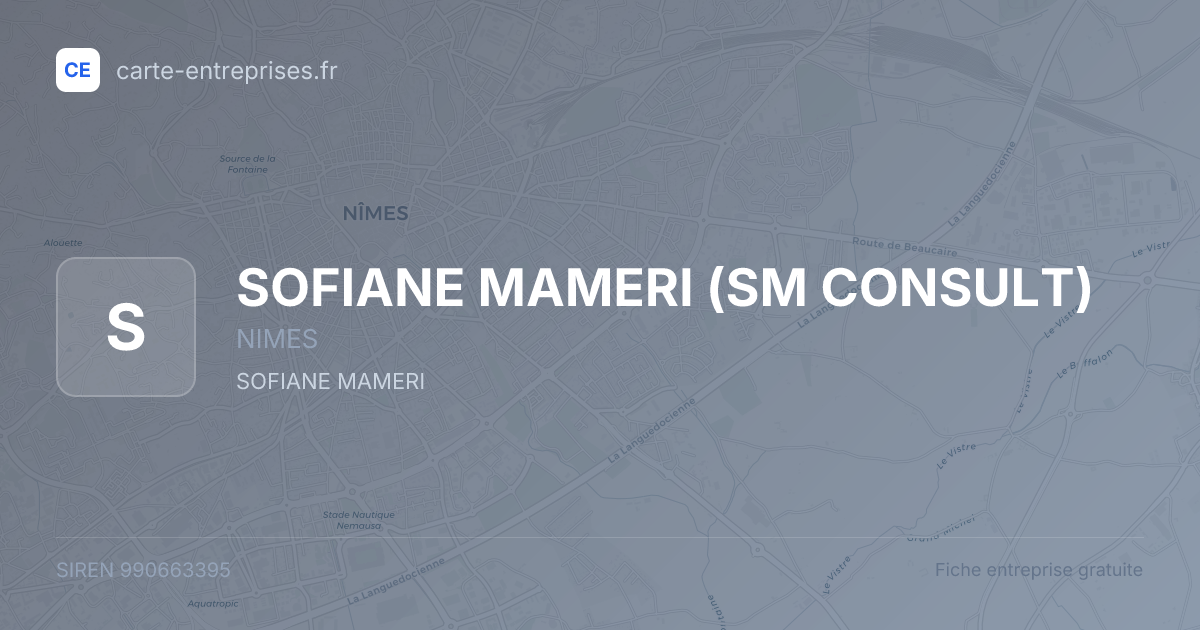 SOFIANE MAMERI (SM CONSULT) — 990663395 — fiche entreprise