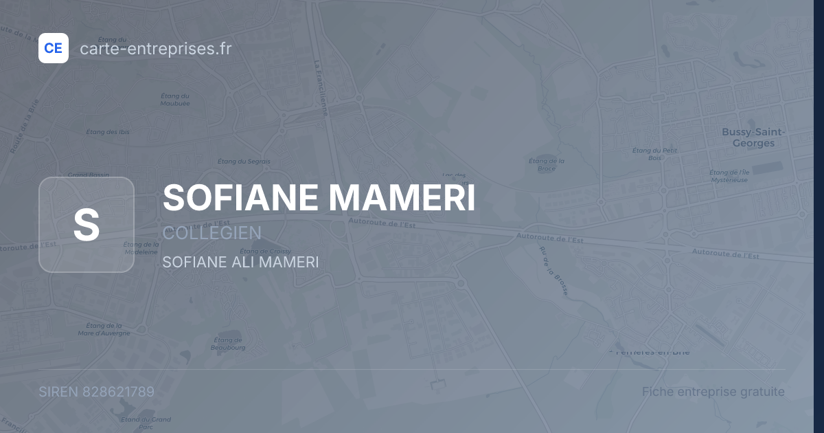 SOFIANE MAMERI — 828621789 — fiche entreprise