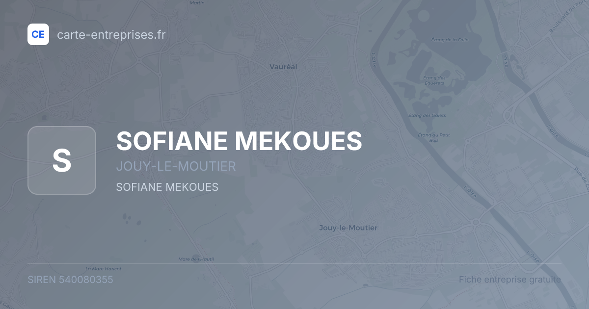 SOFIANE MEKOUES — 540080355 — fiche entreprise