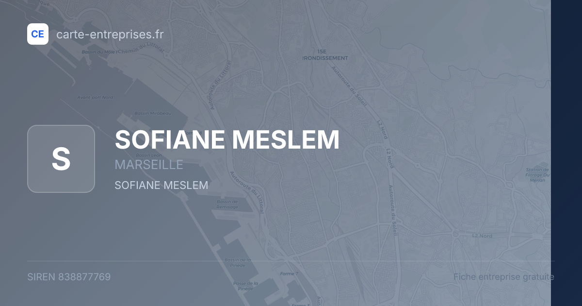 SOFIANE MESLEM — 838877769 — fiche entreprise