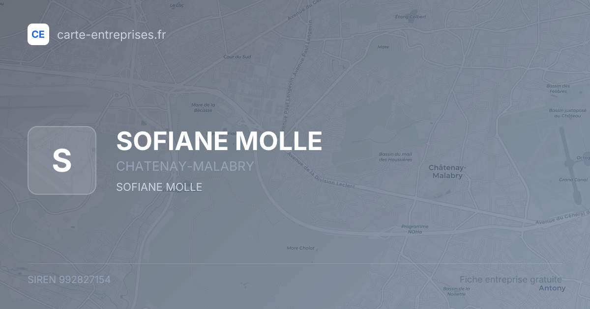 SOFIANE MOLLE — 992827154 — fiche entreprise