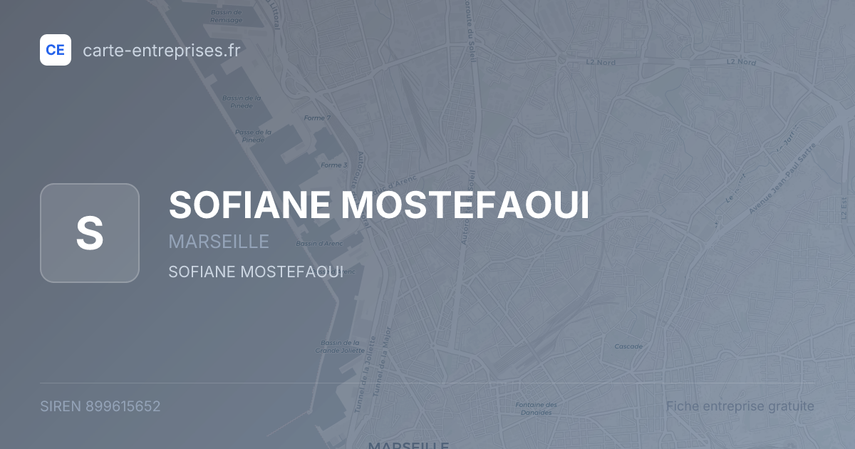 SOFIANE MOSTEFAOUI — 899615652 — fiche entreprise