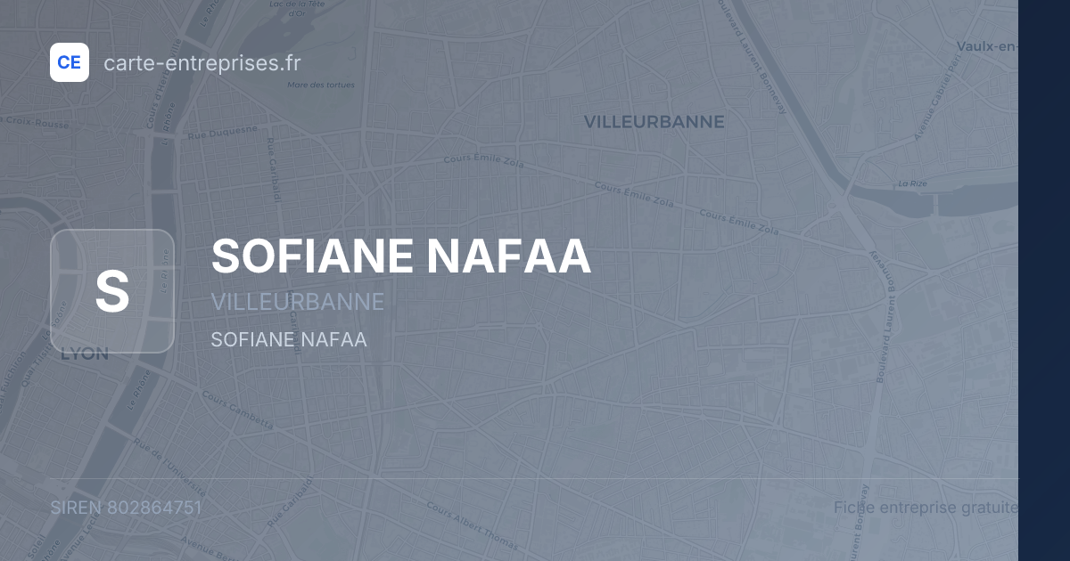 SOFIANE NAFAA — 802864751 — fiche entreprise