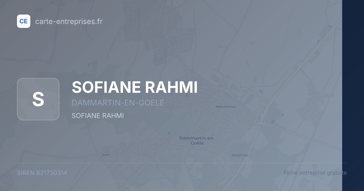 SOFIANE RAHMI — 821730314 — fiche entreprise