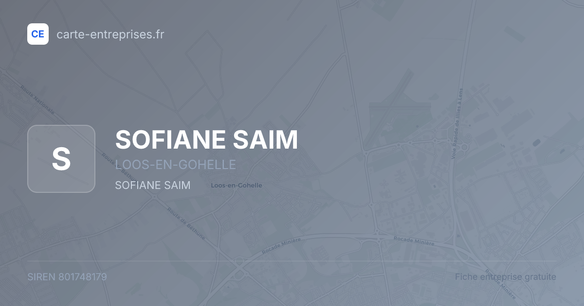 SOFIANE SAIM — 801748179 — fiche entreprise