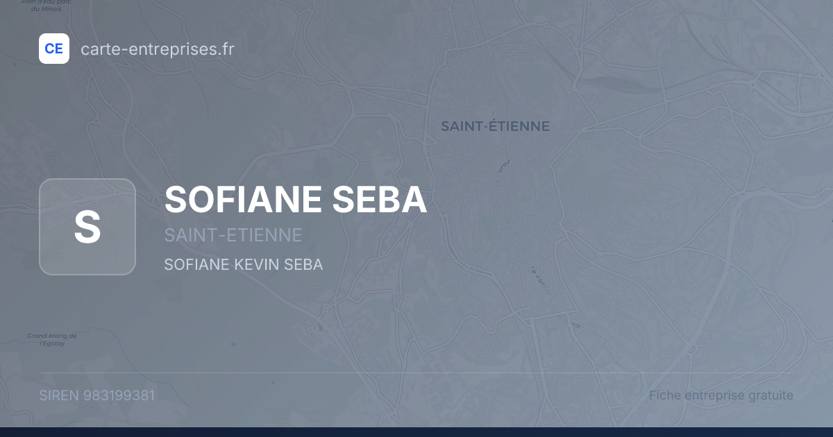 SOFIANE SEBA — 983199381 — fiche entreprise