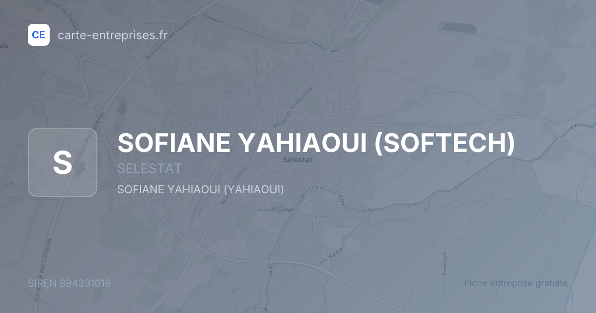SOFIANE YAHIAOUI (SOFTECH) — 894331016 — fiche entreprise
