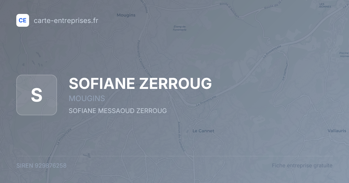SOFIANE ZERROUG — 929876258 — fiche entreprise