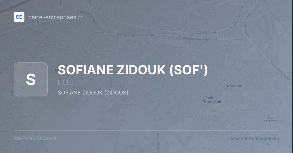 SOFIANE ZIDOUK (SOF') — 907953640 — fiche entreprise