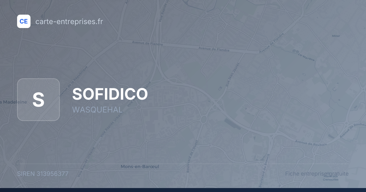 SOFIDICO — 313956377 — fiche entreprise