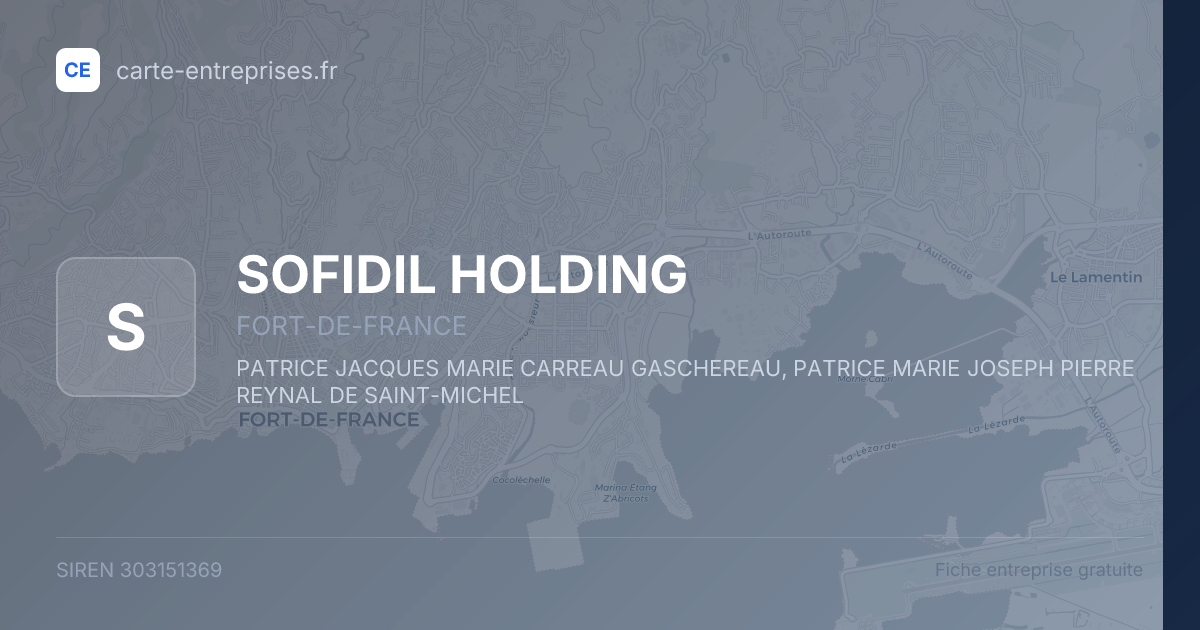 SOFIDIL HOLDING — 303151369 — fiche entreprise