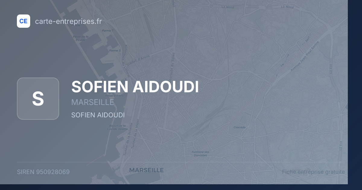 SOFIEN AIDOUDI — 950928069 — fiche entreprise