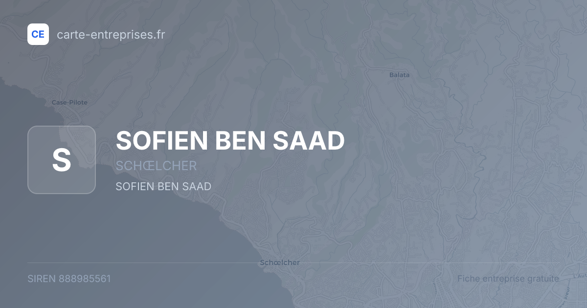 SOFIEN BEN SAAD — 888985561 — fiche entreprise
