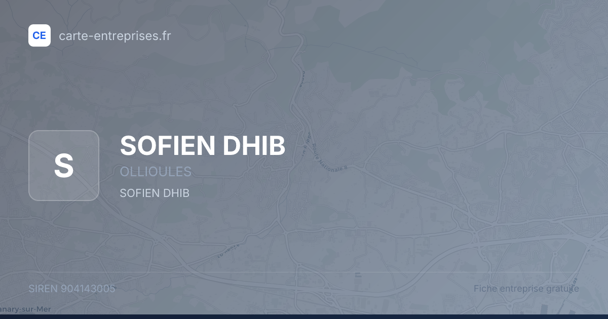 SOFIEN DHIB — 904143005 — fiche entreprise