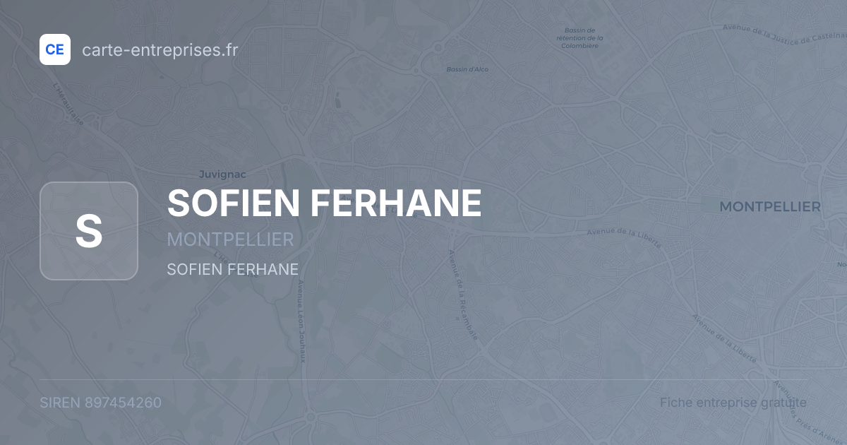 SOFIEN FERHANE — 897454260 — fiche entreprise