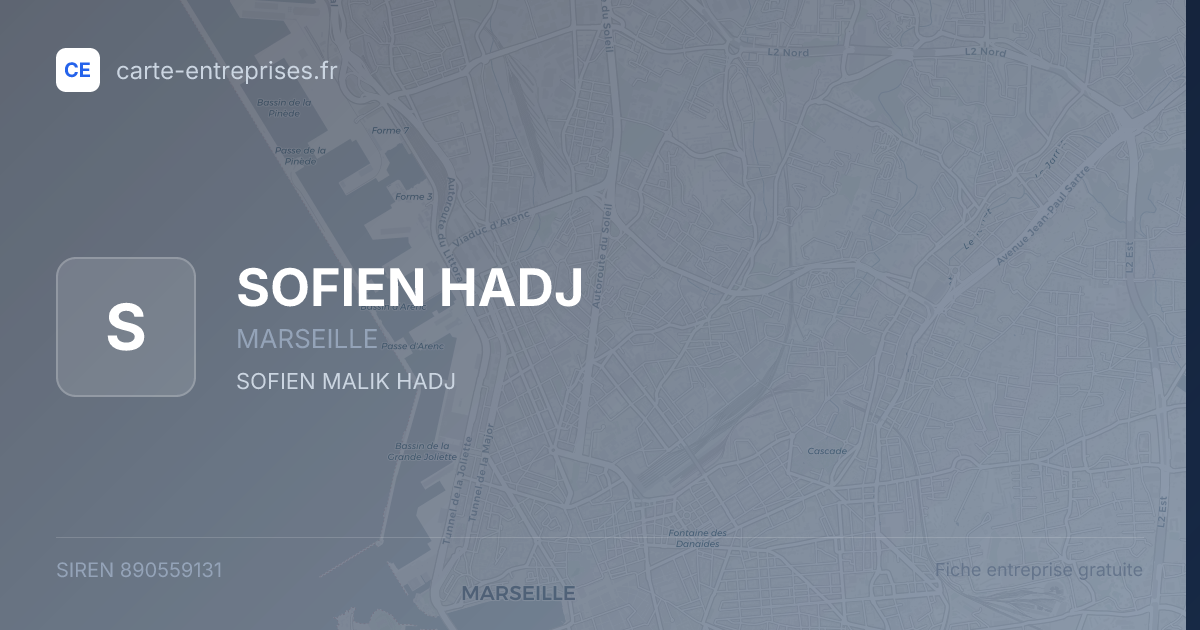 SOFIEN HADJ — 890559131 — fiche entreprise