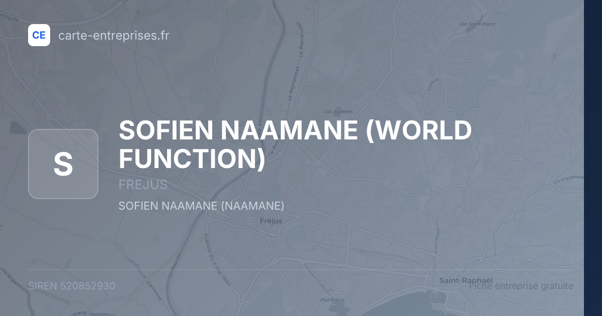 SOFIEN NAAMANE (WORLD FUNCTION) — 520852930 — fiche entreprise