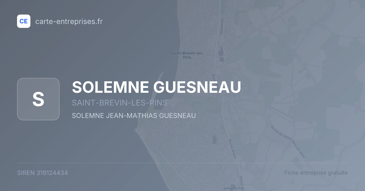 SOLEMNE GUESNEAU — 319124434 — fiche entreprise