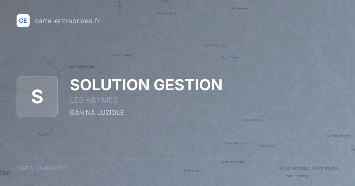 SOLUTION GESTION — 484990221 — fiche entreprise