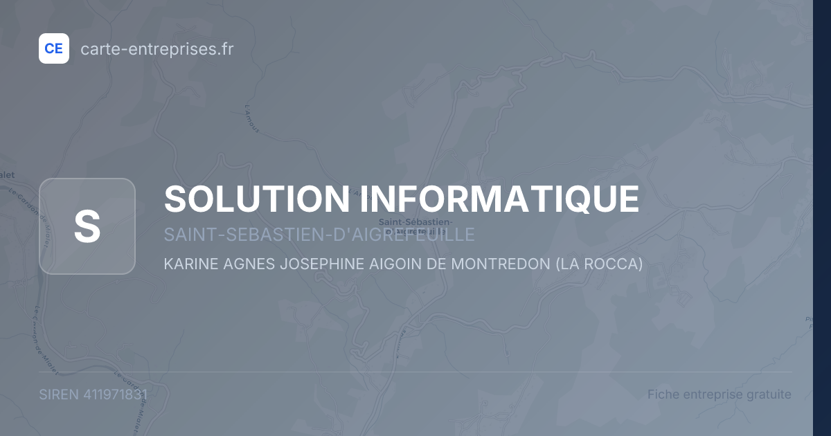 SOLUTION INFORMATIQUE — 411971831 — fiche entreprise