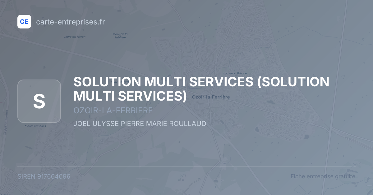 SOLUTION MULTI SERVICES — 917664096 — fiche entreprise