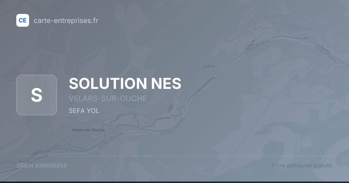 SOLUTION NES — 939698858 — fiche entreprise