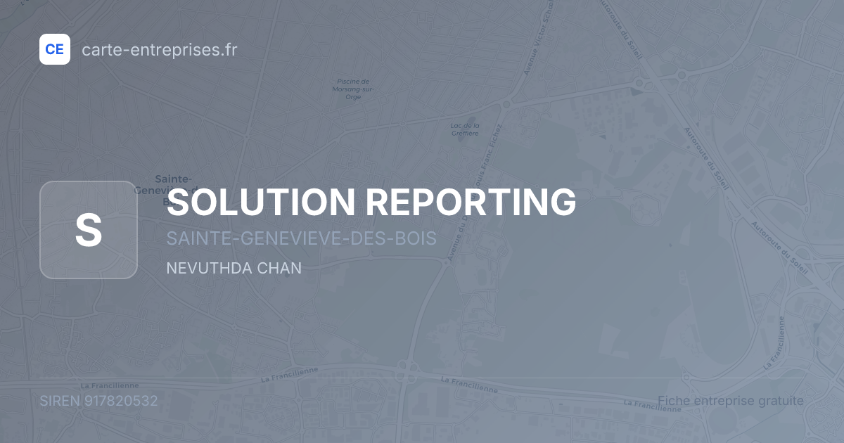 SOLUTION REPORTING — 917820532 — fiche entreprise
