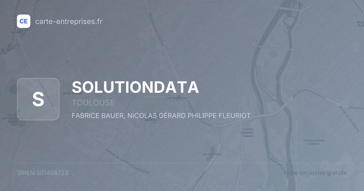 SOLUTIONDATA — 501458723 — fiche entreprise