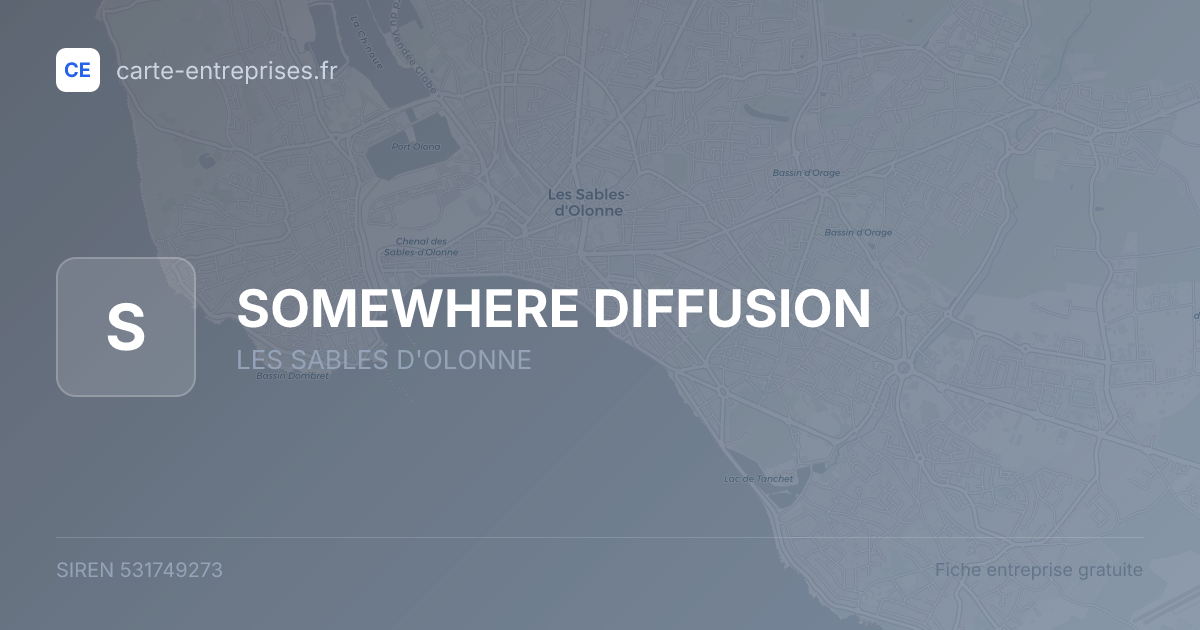 SOMEWHERE DIFFUSION — 531749273 — fiche entreprise