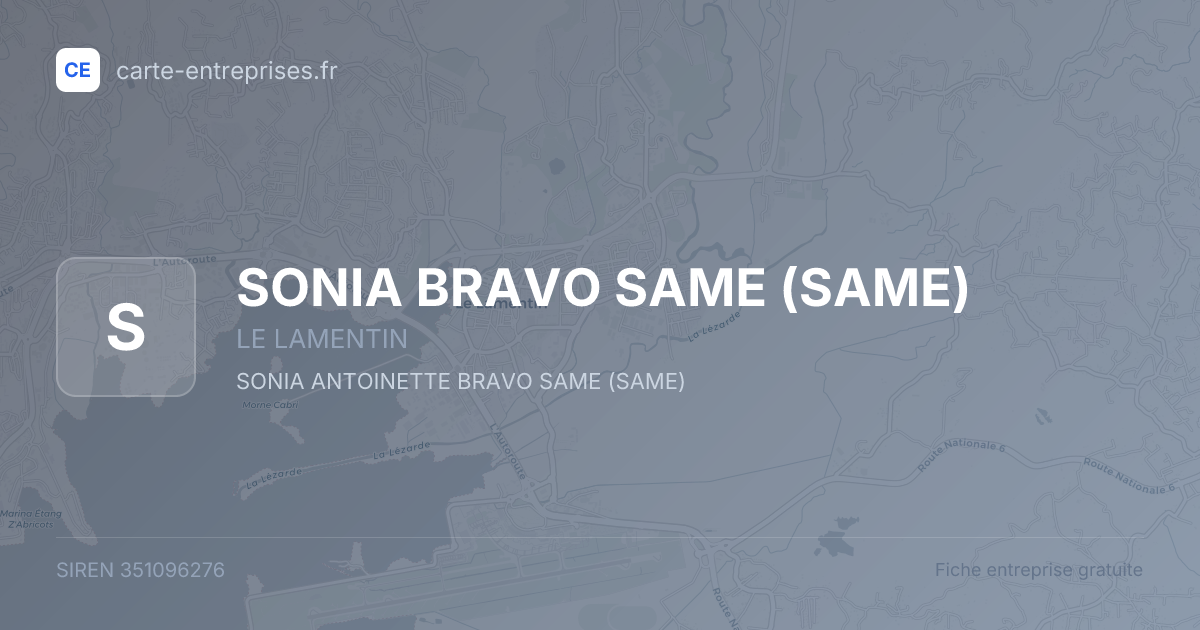 SONIA BRAVO SAME (SAME) — 351096276 — fiche entreprise