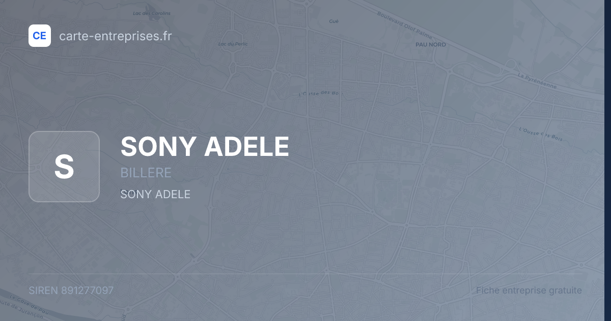 SONY ADELE — 891277097 — fiche entreprise