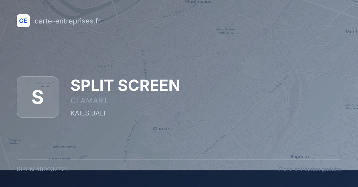 SPLIT SCREEN — 480037225 — fiche entreprise
