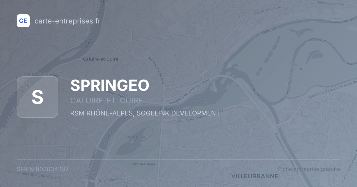 SPRINGEO — 802034207 — fiche entreprise