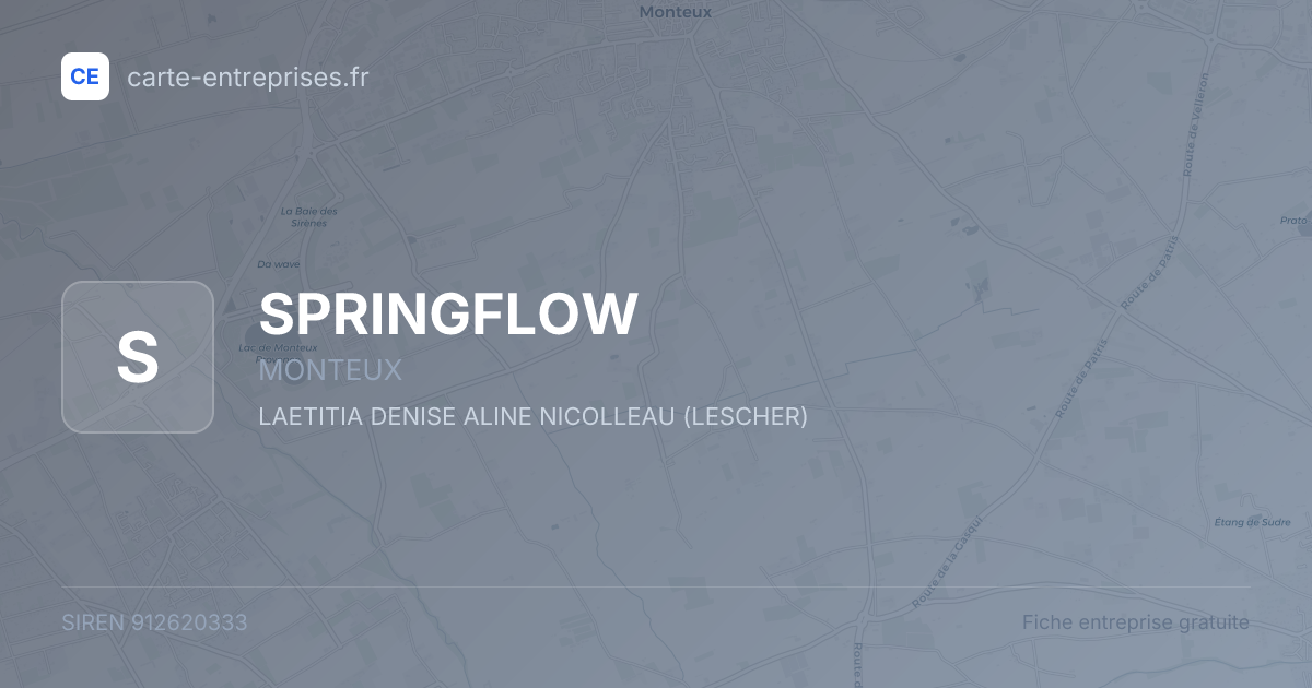 SPRINGFLOW — 912620333 — fiche entreprise