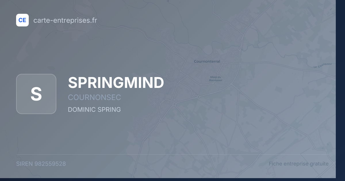 SPRINGMIND — 982559528 — fiche entreprise