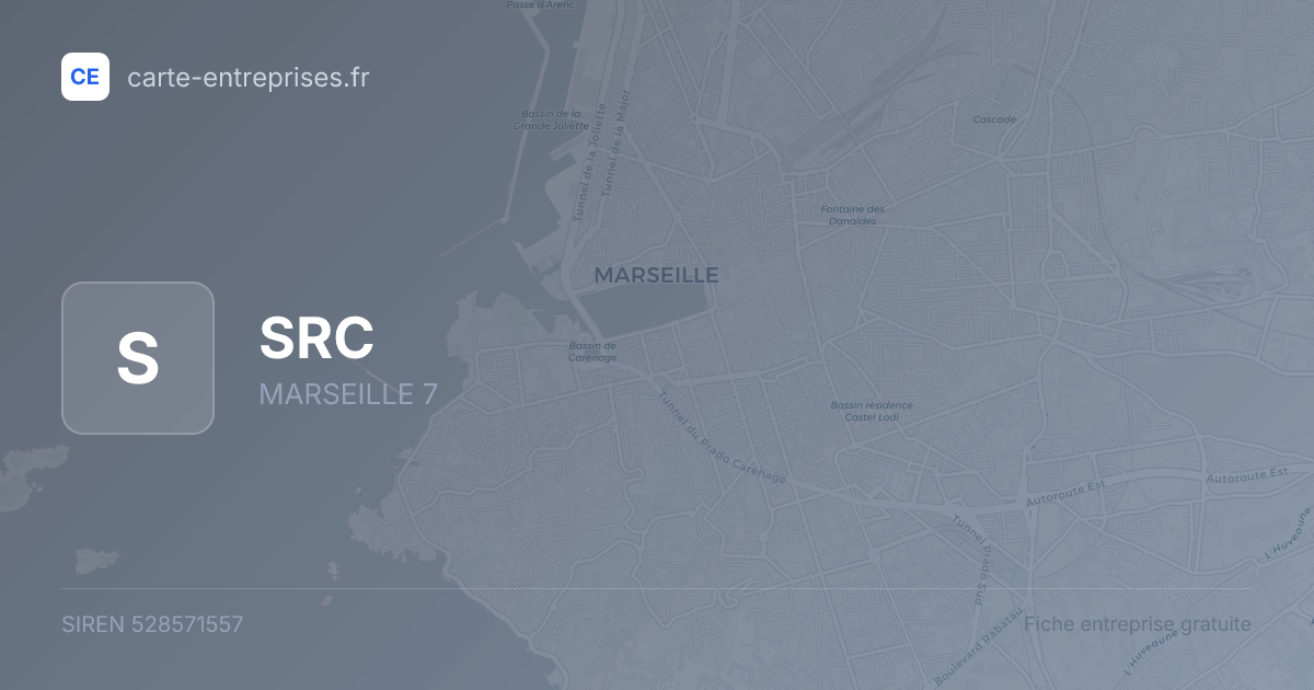 SRC — 528571557 — fiche entreprise