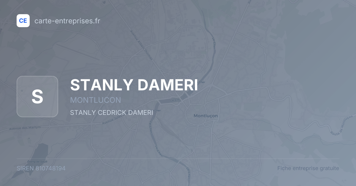 STANLY DAMERI — 810748194 — fiche entreprise