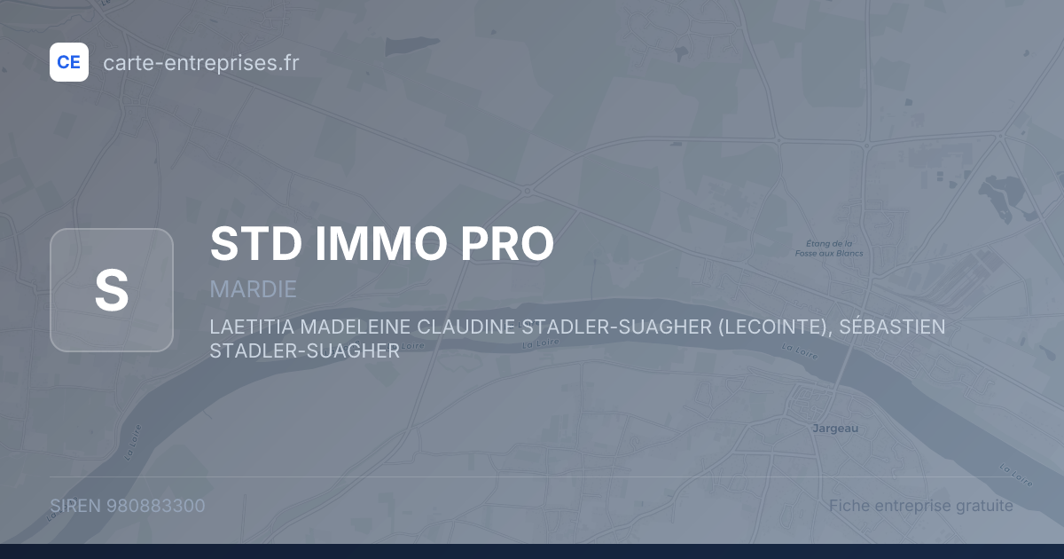 STD IMMO PRO — 980883300 — fiche entreprise
