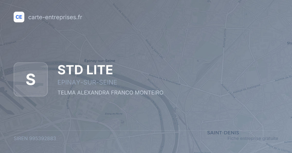 STD LITE — 995392883 — fiche entreprise