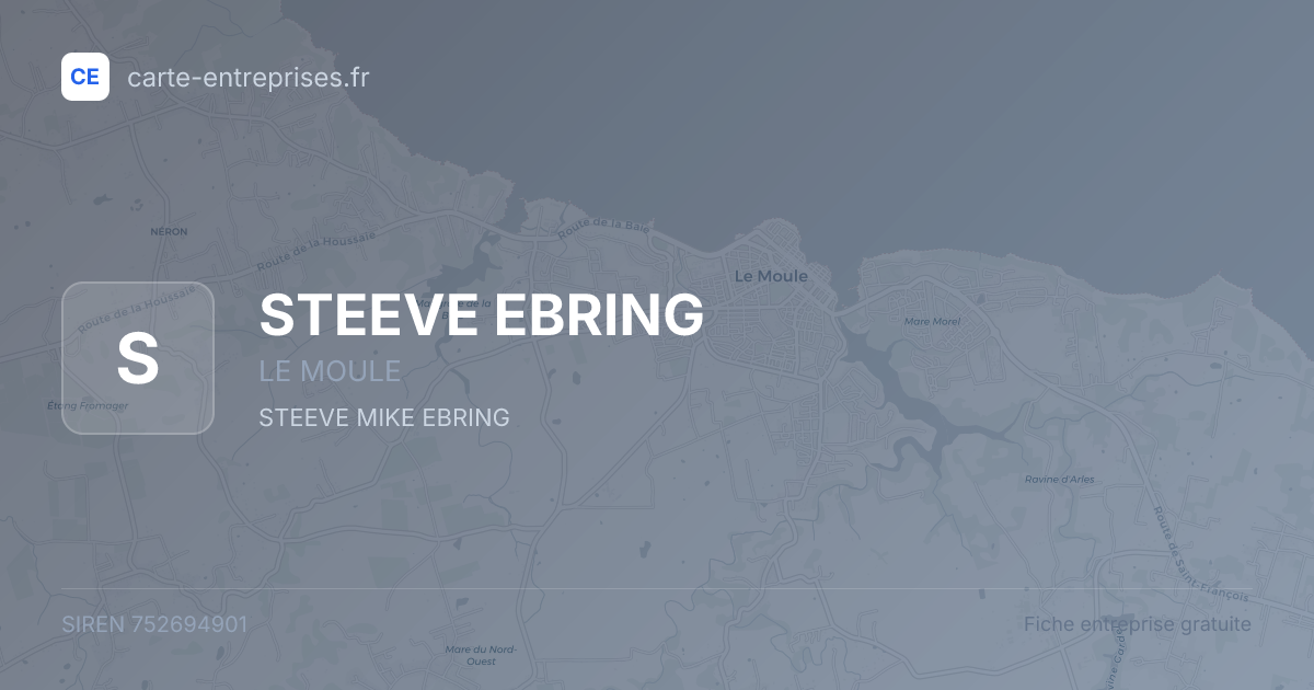 STEEVE EBRING — 752694901 — fiche entreprise