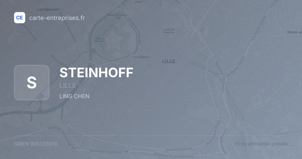 STEINHOFF — 985333970 — fiche entreprise