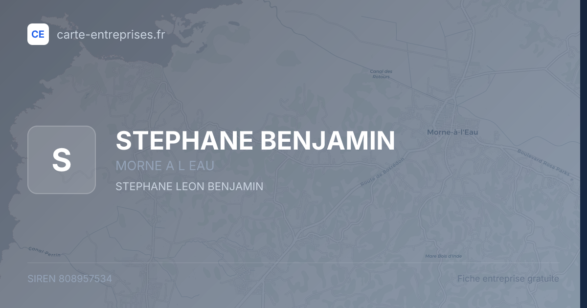 STEPHANE BENJAMIN — 808957534 — fiche entreprise