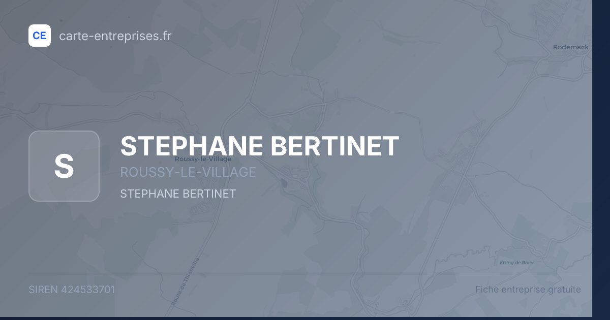 STEPHANE BERTINET — 424533701 — fiche entreprise