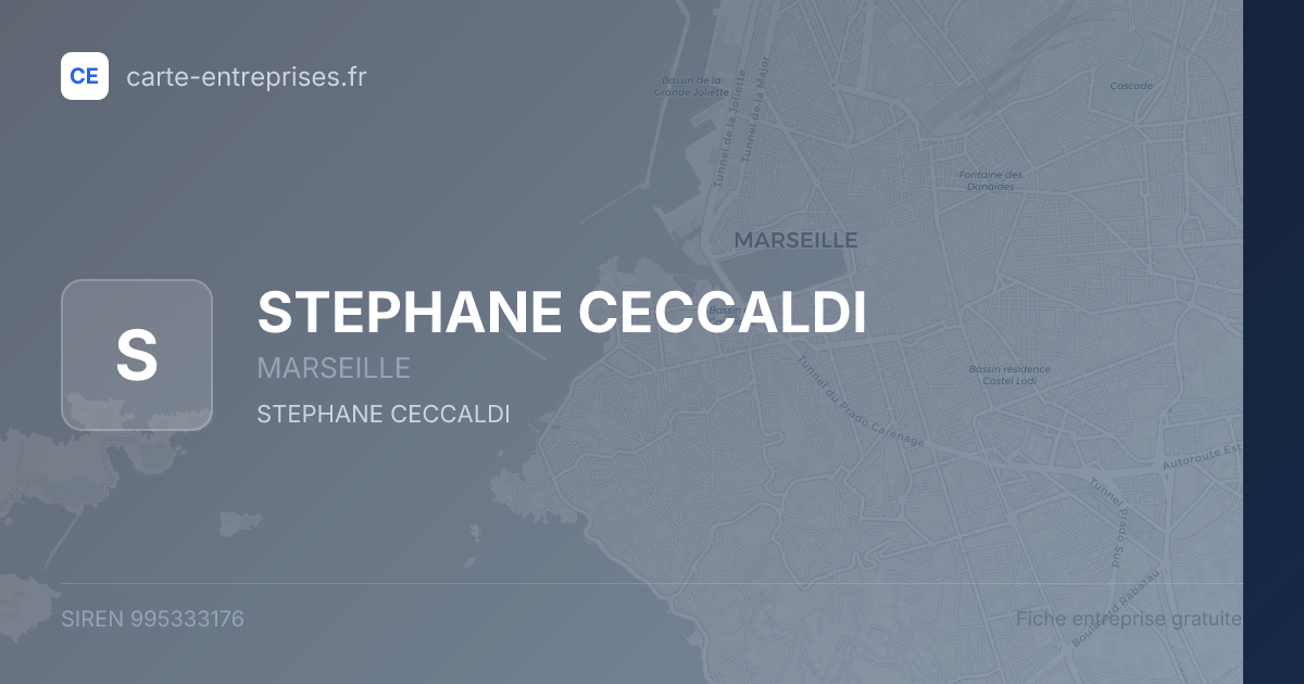 STEPHANE CECCALDI — 995333176 — fiche entreprise