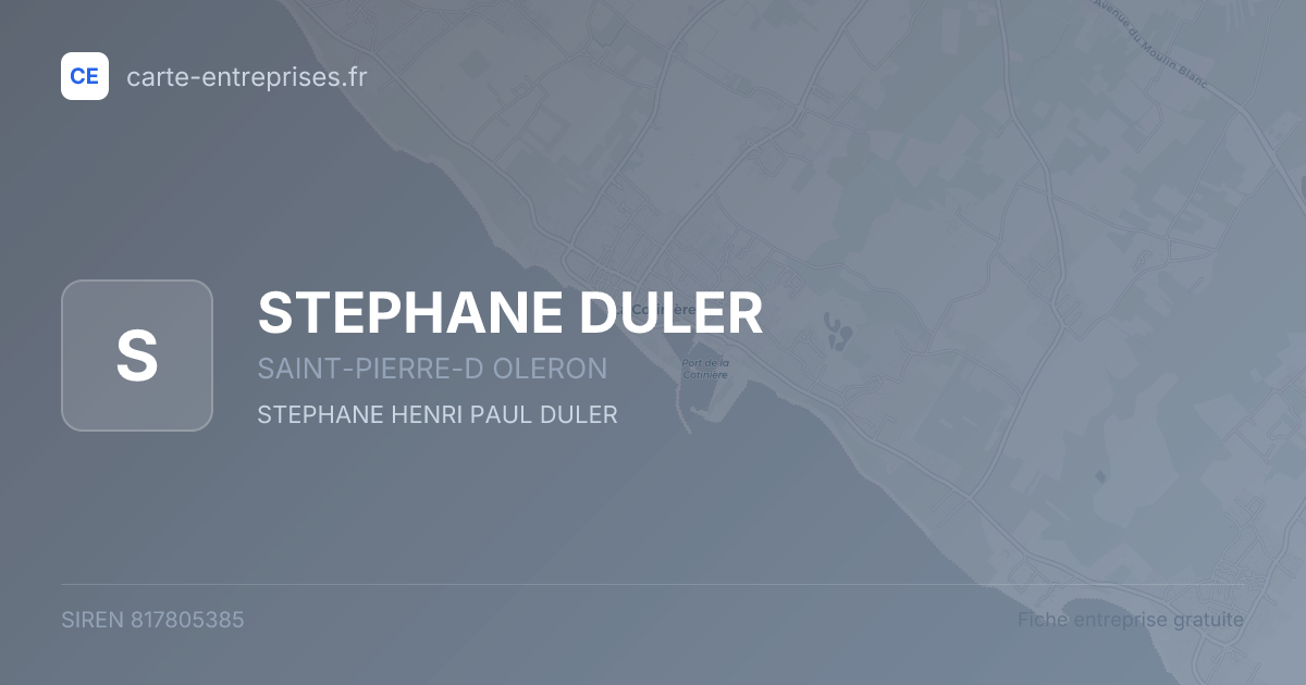 STEPHANE DULER — 817805385 — fiche entreprise