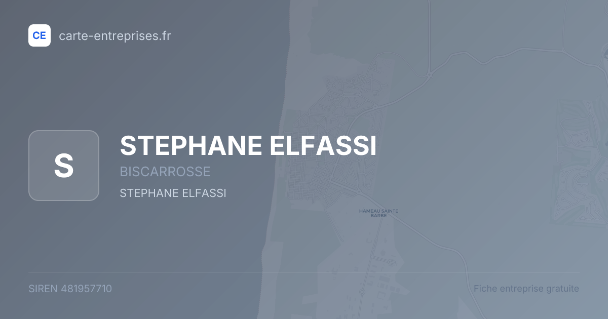 STEPHANE ELFASSI — 481957710 — fiche entreprise