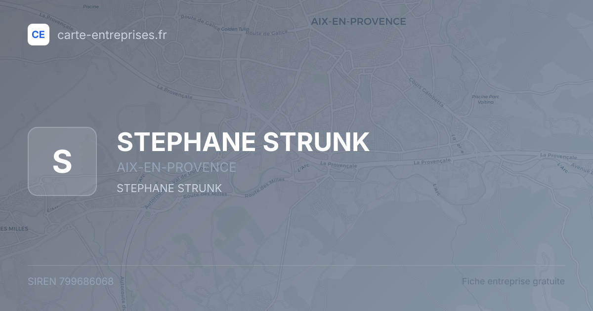 STEPHANE STRUNK — 799686068 — fiche entreprise