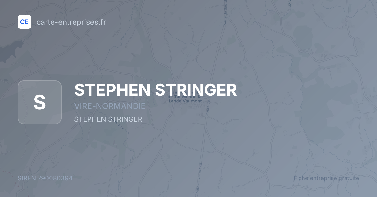 STEPHEN STRINGER — 790080394 — fiche entreprise